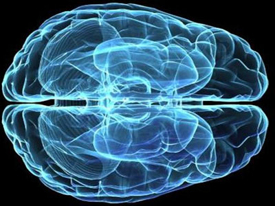 科学家首次3D打印出脑组织 可存活30天