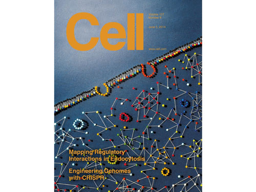 Cell：细胞内的生命交通图